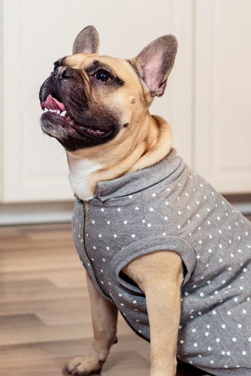 Sweaters Accessories