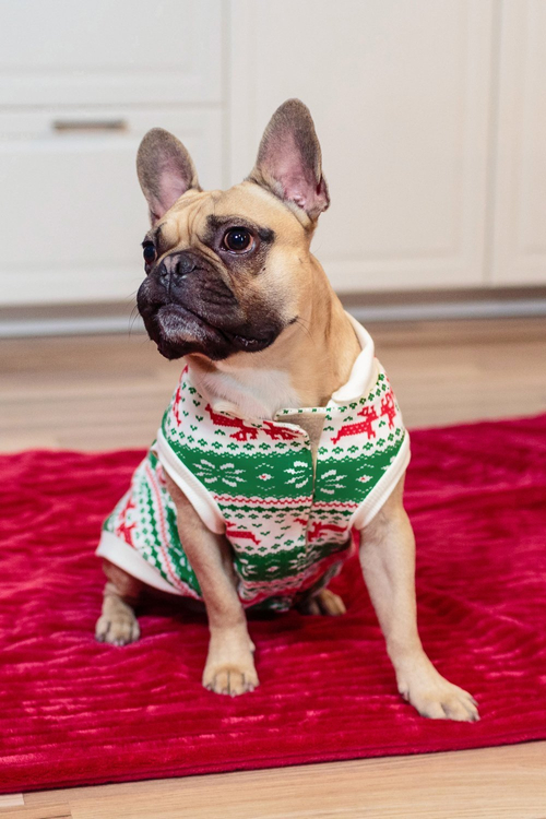 Dog Sweaters - Reindeers